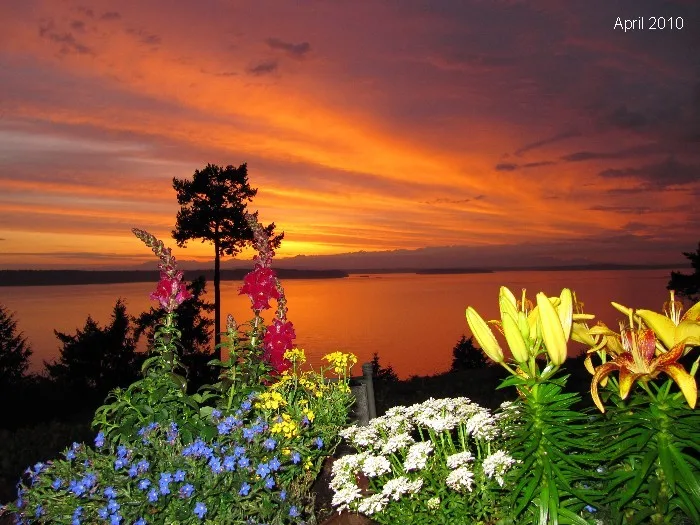 bed, breakfast, and a view top 10 B&Bs eaglesview eagles view B&B