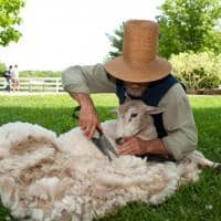 Fun things to do Memorial Weekend Wool Days at Old Sturbridge Village Traveling Well For Less
