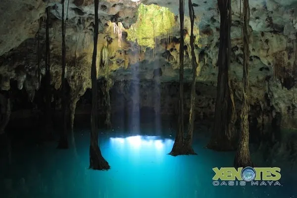 Luum Earth cenote at Xenotes Oasis Maya Traveling Well For Less