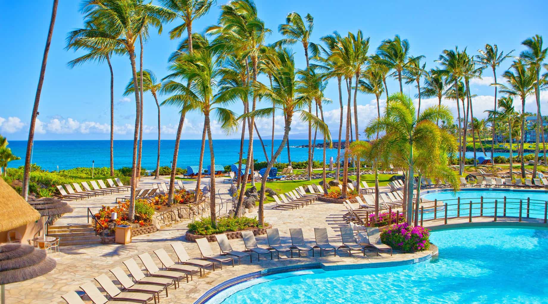 Hilton Waikoloa Village Traveling Well For Less