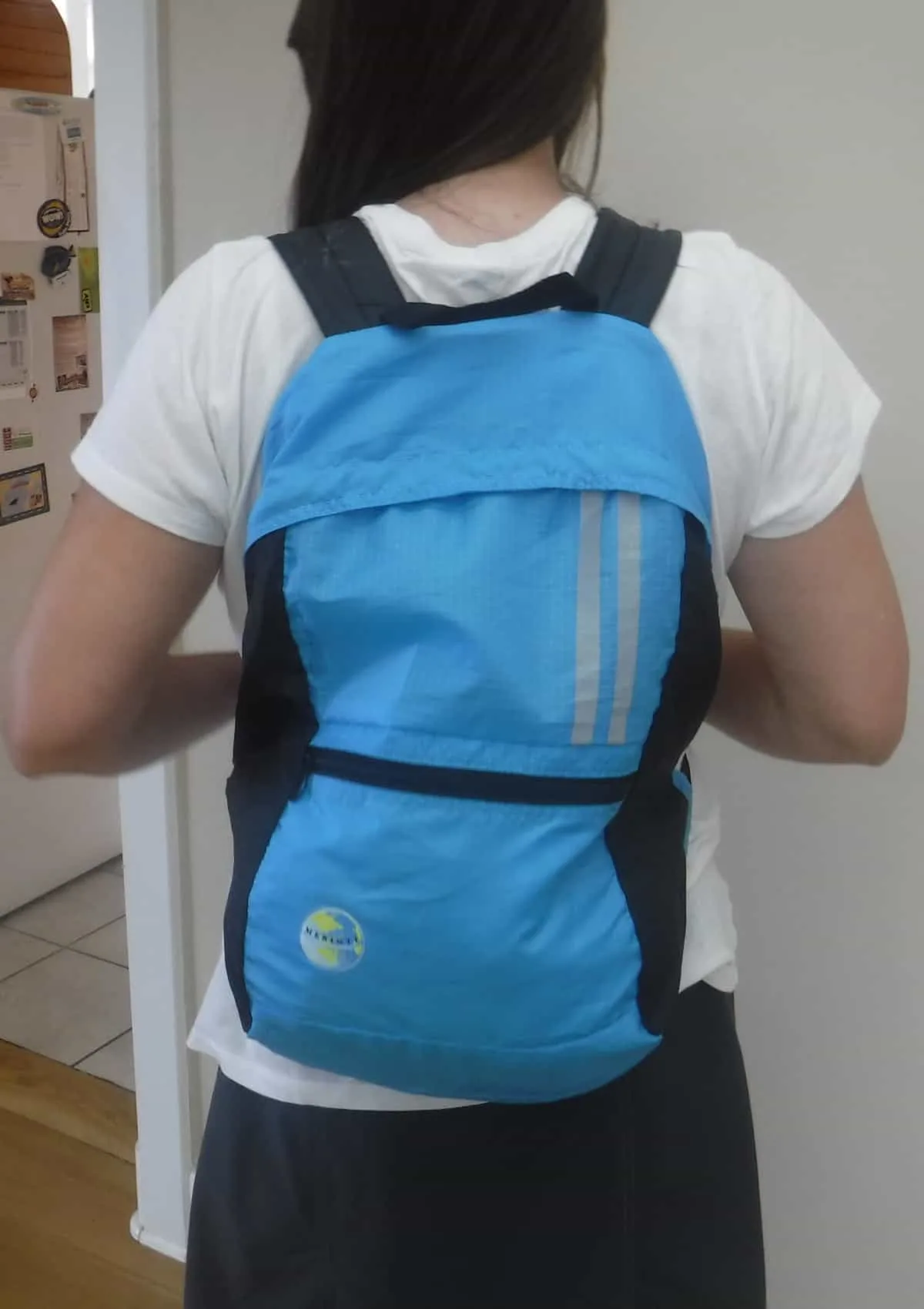 Merinte Backpack in a Pocket