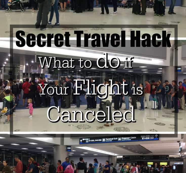 Do you know the secret travel hack when your flight is cancelled? Traveling Well For Less