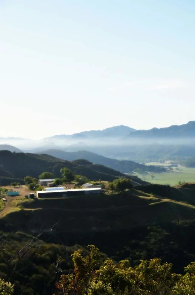 With 140 miles of public use trails, you're sure to find at least one hike that fits your fitness level and ability. You can use the Conejo Valley website to see the trails, difficulty, and length.