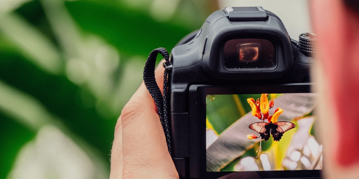 Improve your photo skills with free photography classes. https://www.travelingwellforless.com/go/UltimatePhotographyBundle