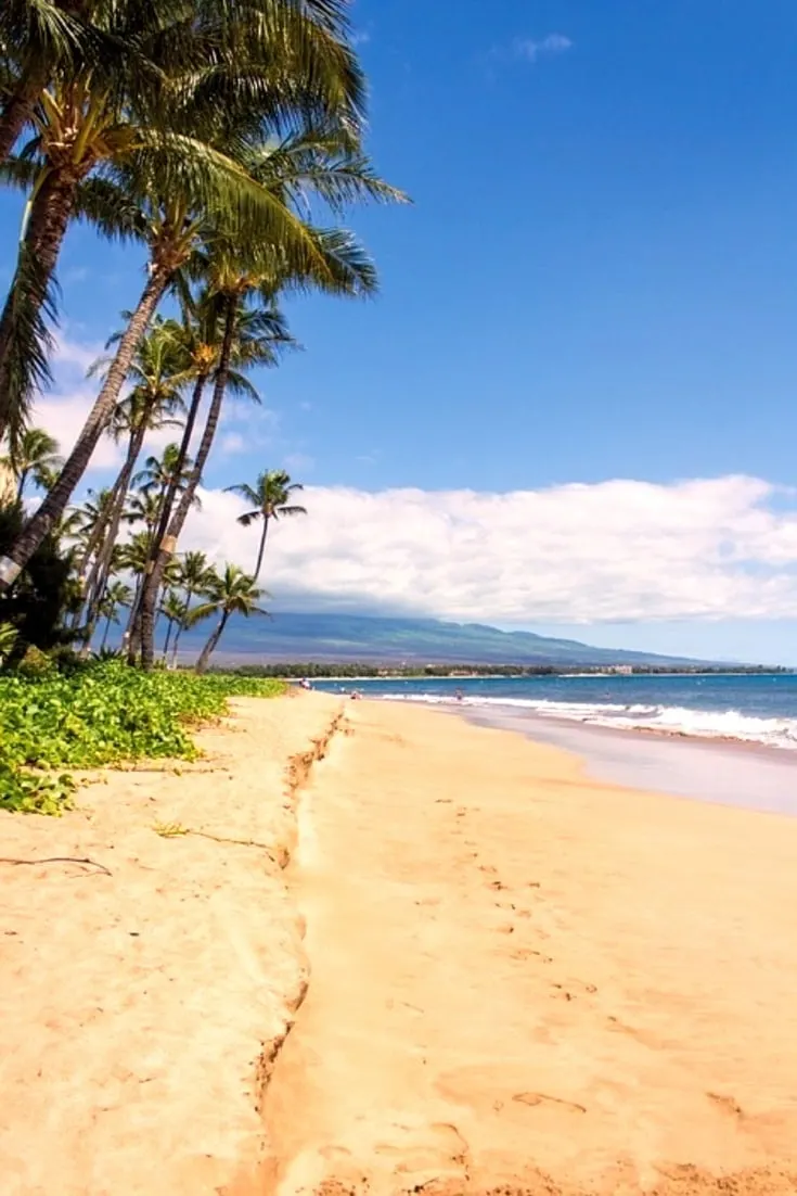 How to fly free to Hawaii and stay in a beachfront hotel for 8 days for $5.60. | Hawaii | Kauai | travel hacking | miles and points | photo credit: Pixabay | Traveling Well For Less