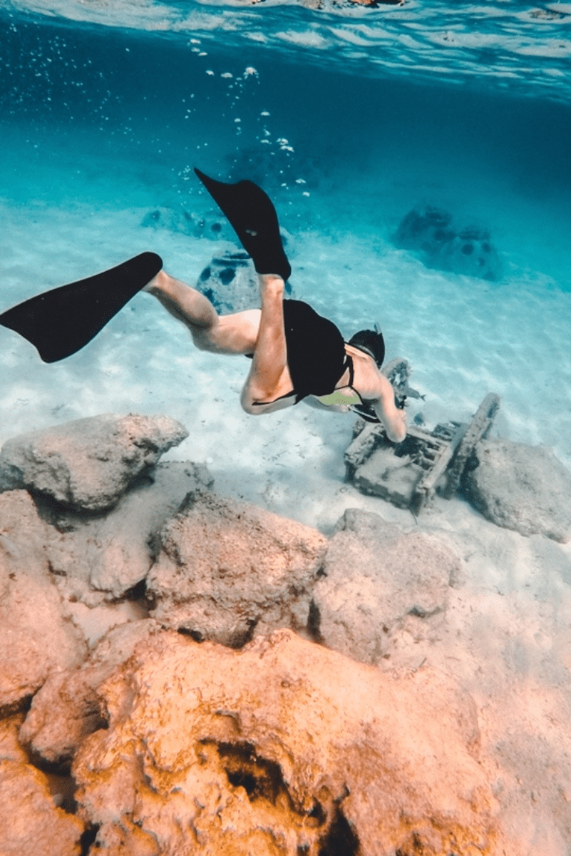 Use travel rewards points to pay for tours and activities like snorkeling | how to travel for free with travel rewards points | travel hacking | Traveling Well For Less