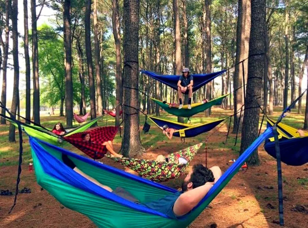 Hammocks dot the landscape in Joe Wheeler Park. | 25 reasons to visit Florence, Alabama. | Photo courtesy of VisitFlorenceAl.com | TravelingWellForLess.com