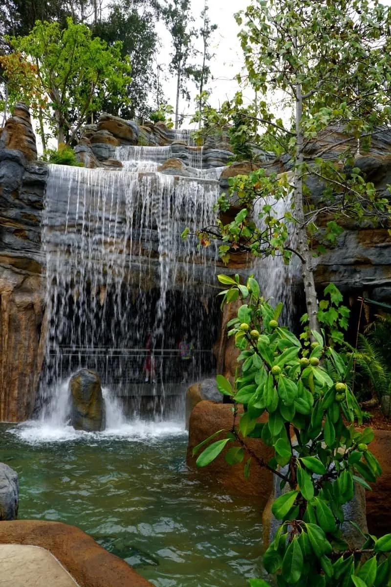 Rady Falls, a 65-foot waterfall in the West African Forest habitat. At almost 7 stories high, Rady Falls is San Diego's largest man-made waterfall. | @sandiegozoo. | #AfricaRocks | #ad | Conrad Prebys Africa Rocks | San Diego Zoo | waterfall | things to do in San Diego | TravelingWellForLess.com