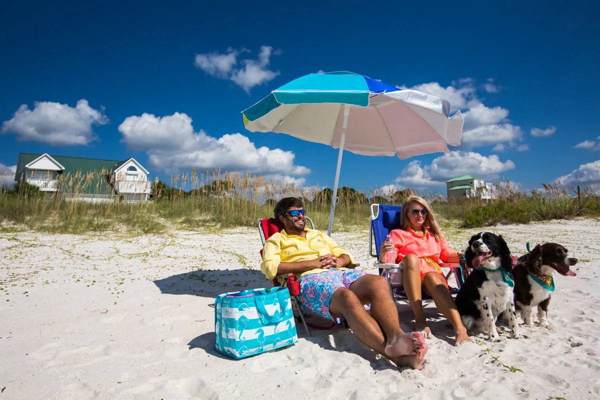 Port St Joe & Gulf County Florida beaches are family and pet friendly. #ad #GCFLnofilter