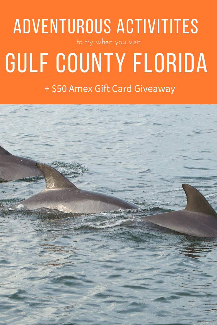 An inexpensive family friendly destination, lots of outdoor activities, and great weather year round, are just a few reasons to visit Gulf County Florida
