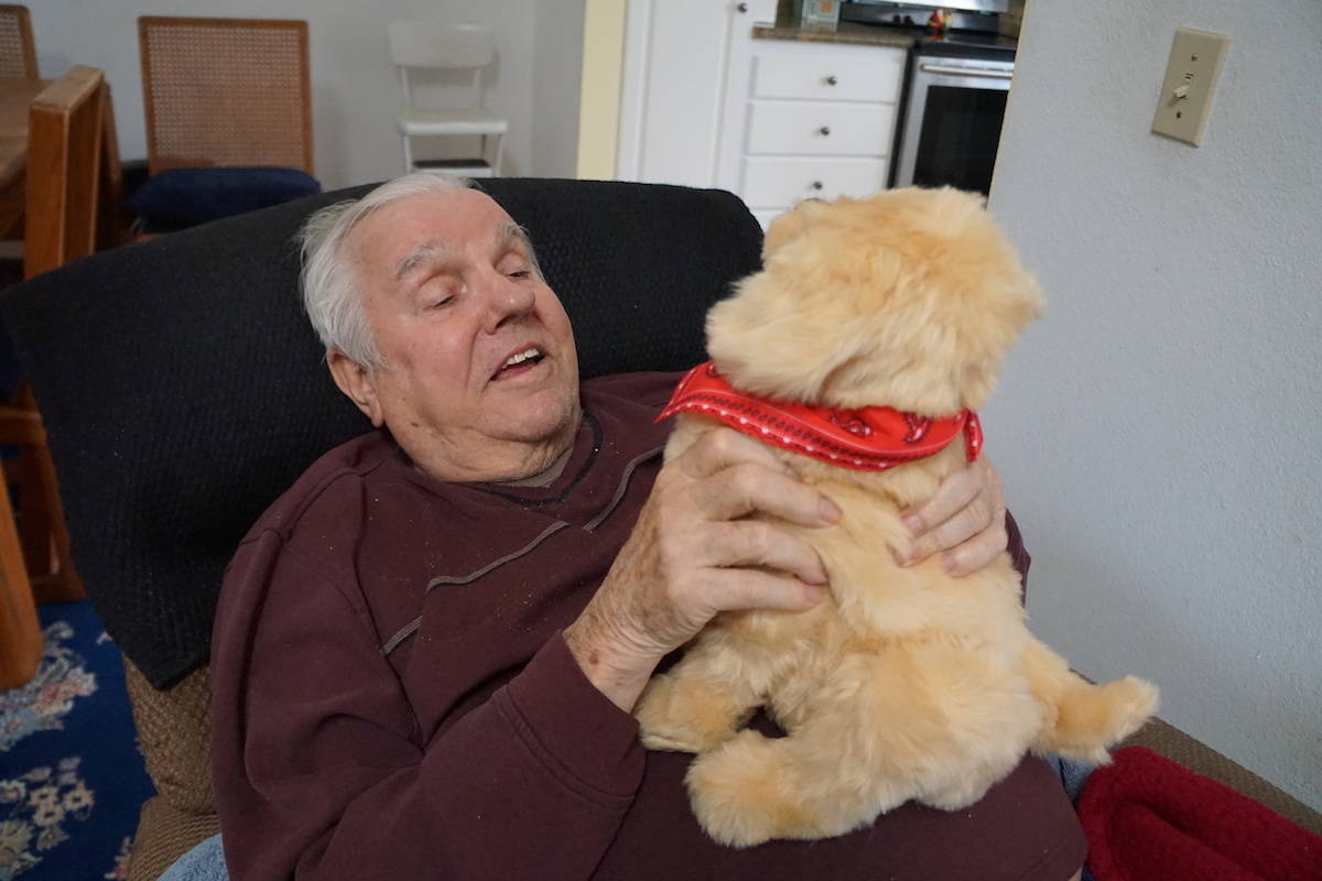 Hasbro's Joy For All Companion Pet, Golden pup, a comfort golden retriever provides companionship for the elderly. https://www.travelingwellforless.com