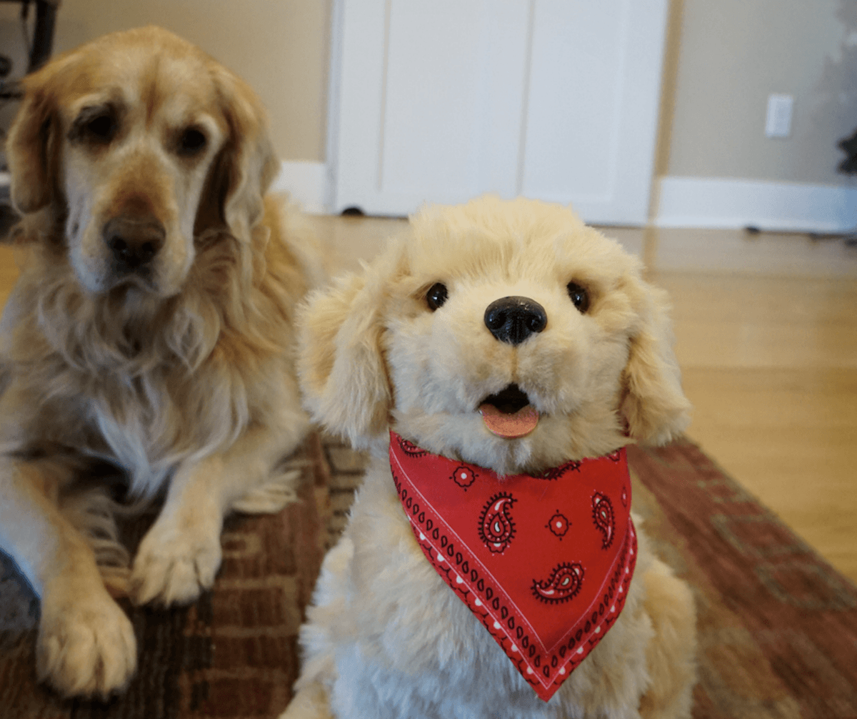 Hasbro Joy For All Companion Pet, Golden Pup is so life-like, even your dog will think its real. https://www.travelingwellforless.com