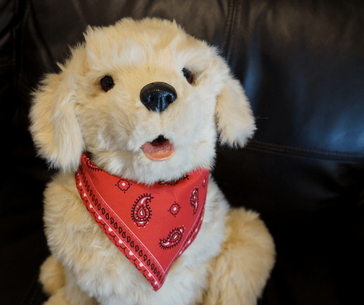 A comfort golden retriever is a solution to the emotional support animal debate. Hasbro Joy For All Companion Pet. golden pup. https://www.travelingwellforless.com