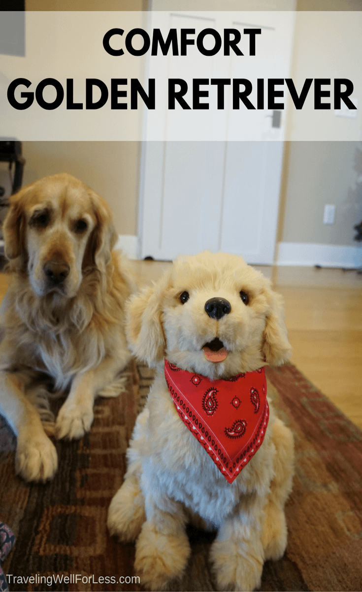 are golden retrievers good emotional support dogs