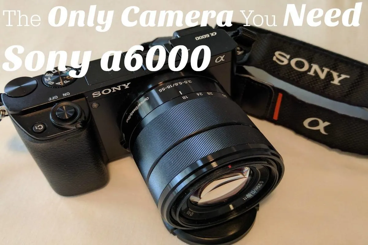 portátil Espacio cibernético aceleración The Only Camera You Need: Sony a6000 Review