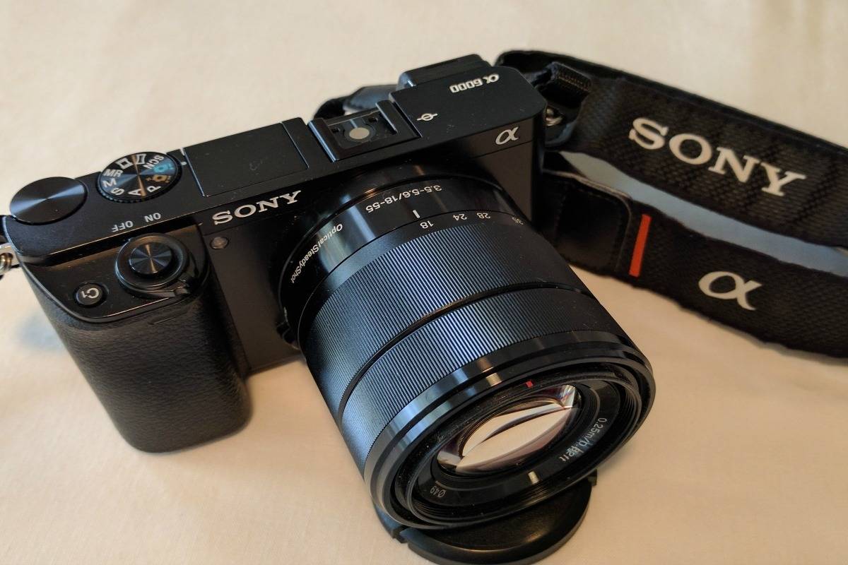 portátil Espacio cibernético aceleración The Only Camera You Need: Sony a6000 Review