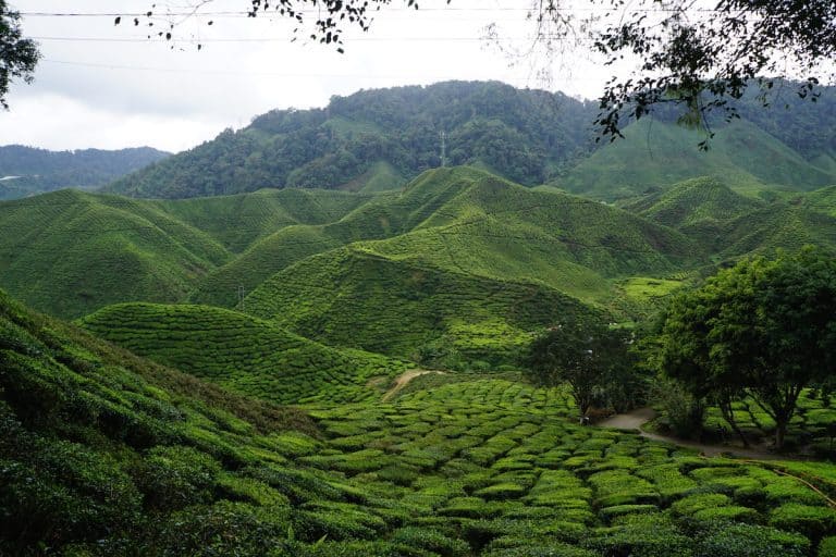 48 Hours In Kuala Lumpur
