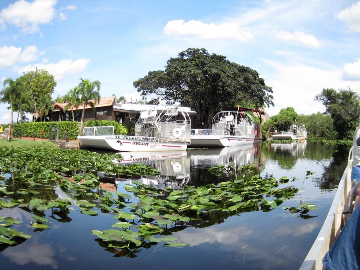 Take a ride on an airboat through the Everglades during a layover in Miami. | things to do in Miami | what to do during a layover at the Miami Airport | TravelingWellForLess.com