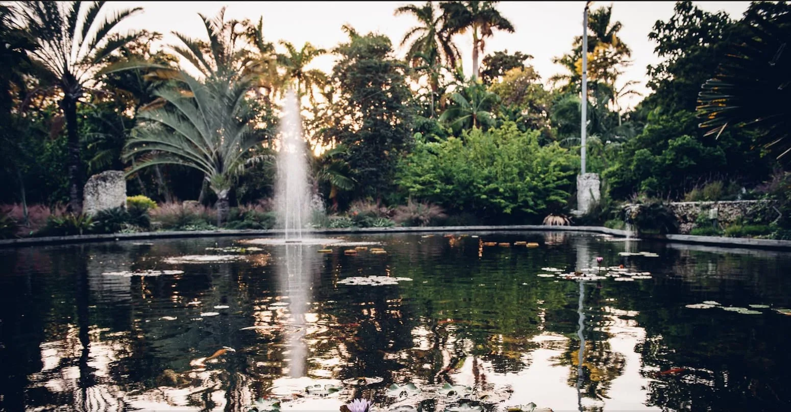 Legs stiff from a cramped airline seat? Stretch them out with a stroll through the Miami Beach Botanical Garden. | what to do on a 5-hour layover in Miami | TravelingWellForLess.com