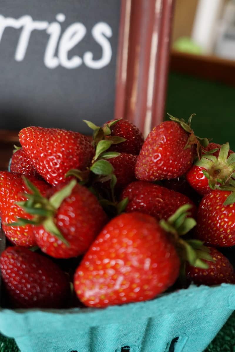 Visiting Unger Farms is one of several things to do with kids in Tualatin. Plan your visit around harvest season and pick your own strawberries. | #tualatin #familyfun #thingstodowithkids #oregon #strawberries https://www.travelingwellforless.com