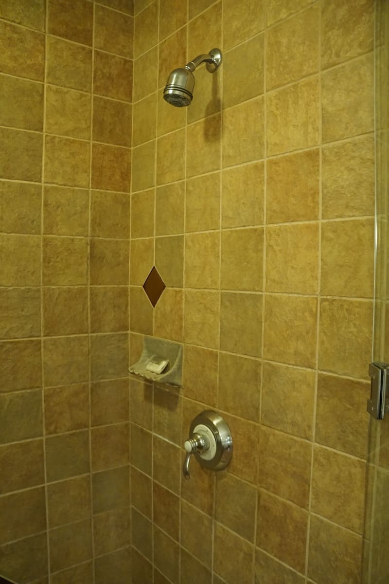 The tiled shower is large