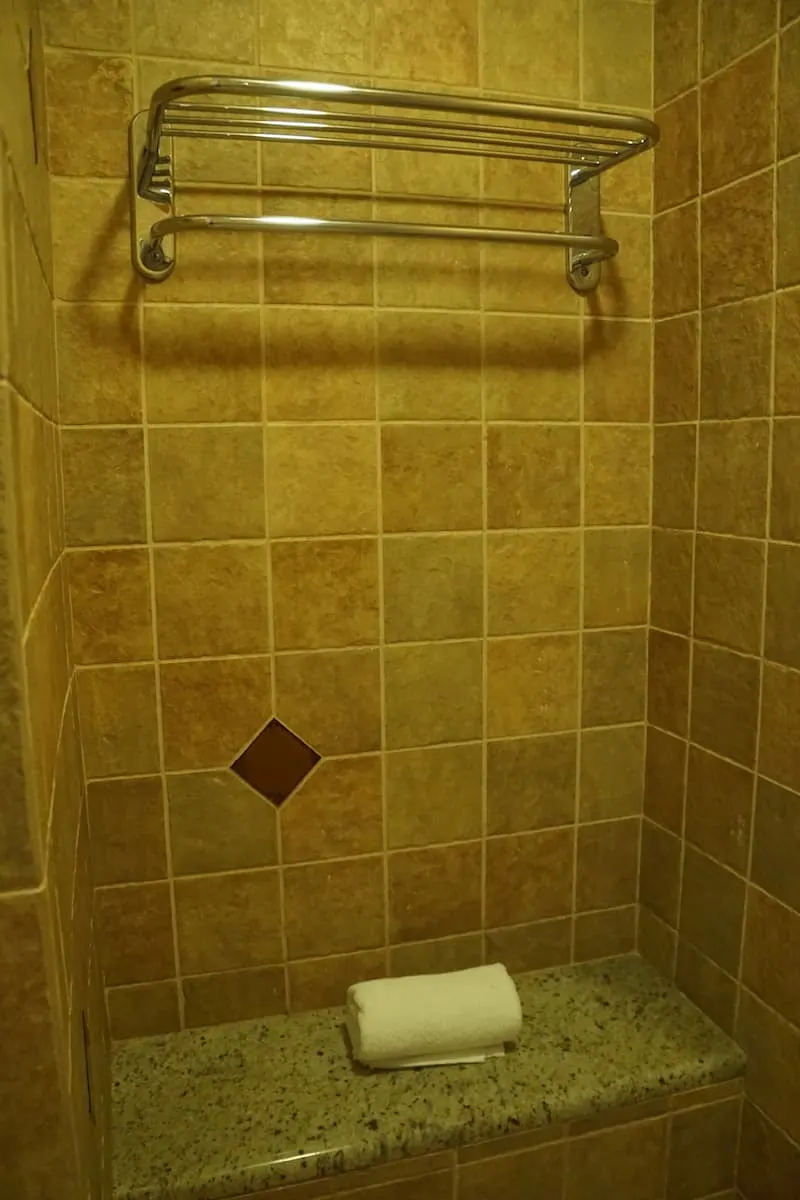 Shower seat