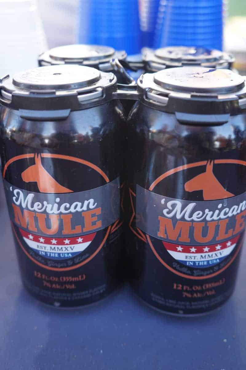 Moscow Mule in a can. Yes, please! These premixed Moscow mules are delicious and come in an easy to open can. Perfect for the beach, picnics, and anywhere that glass isn't allowed. | San Diego Bay Wine and Food Festival | SommCon | Vault | wine | TravelingWellForLess.com