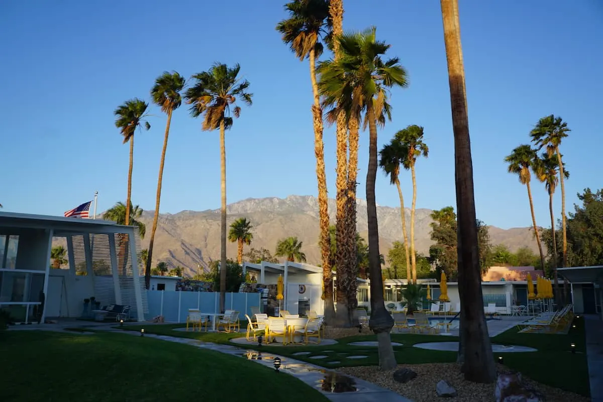 Palm trees and San Jacinto mountains