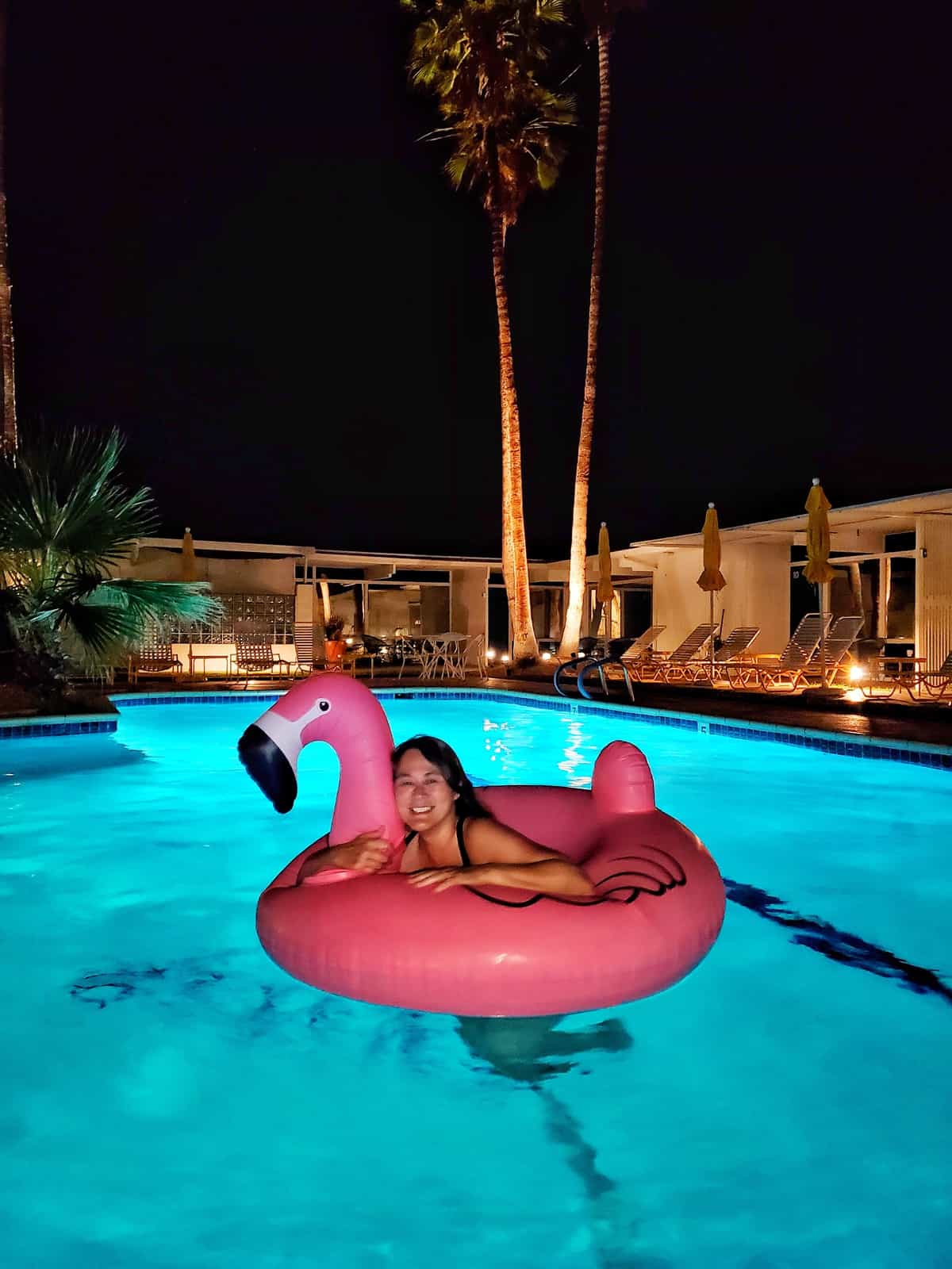 pink flamingo in pool at night in Palm Springs