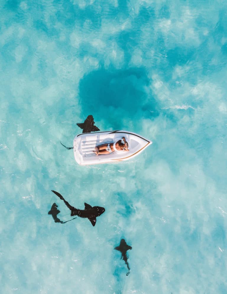 Travel Deals August 21 to August 28