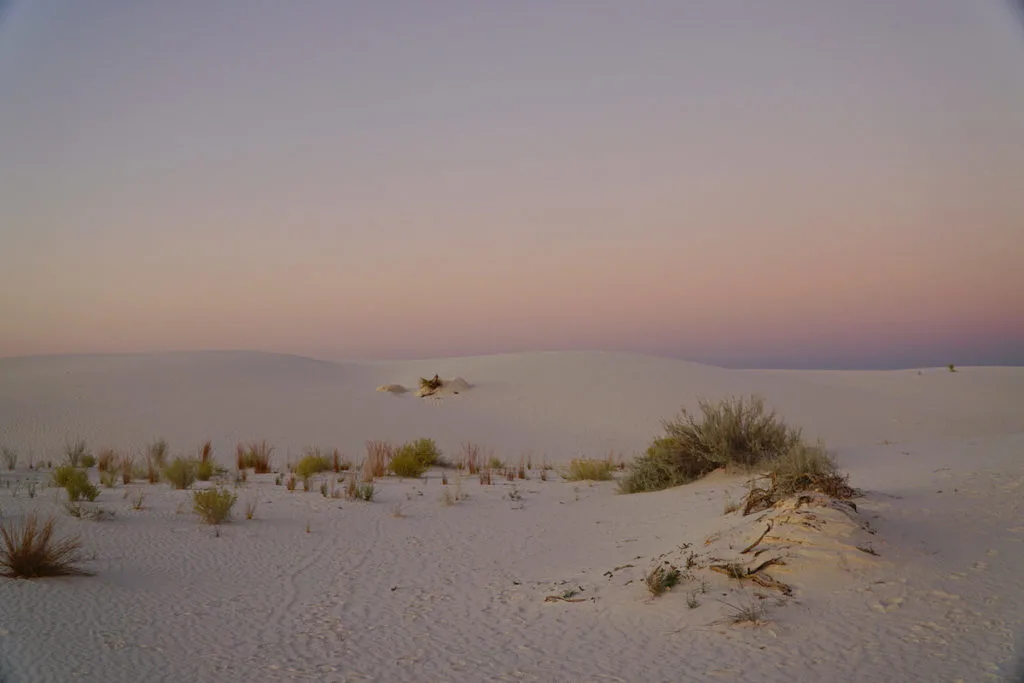 white sand dunes at sunset at White Sands National Park