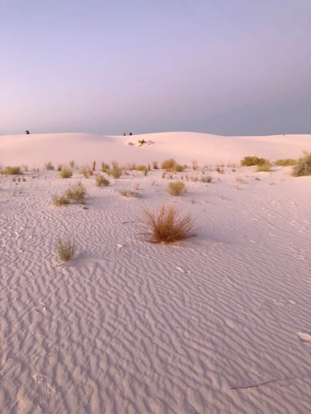 gypsum white sand dunes at sunset at White Sands National Park