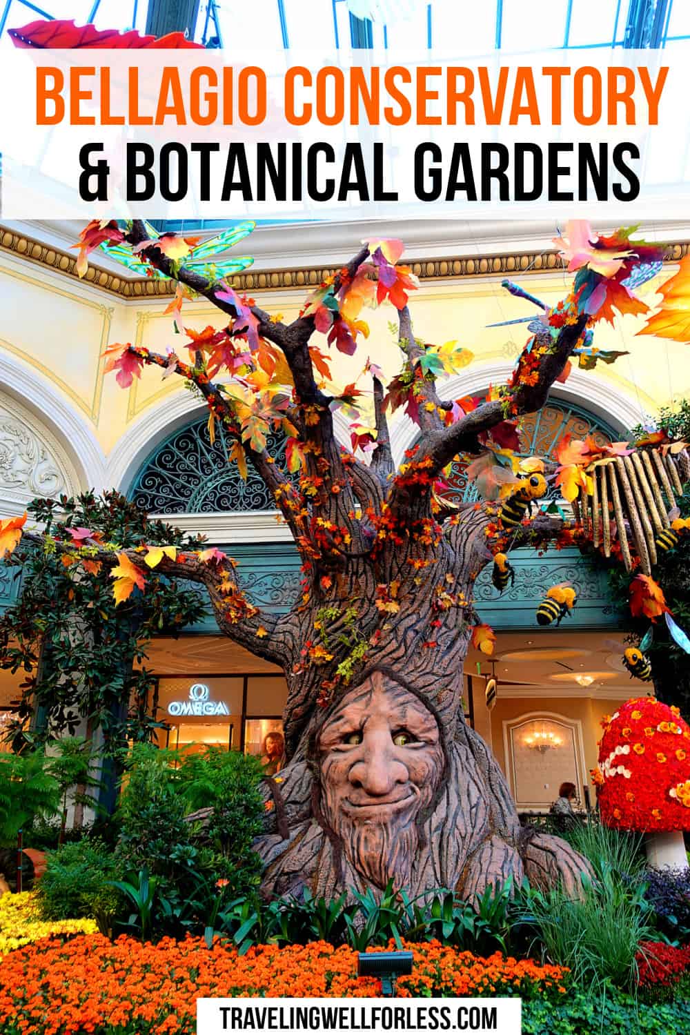 Bellagio Conservatory & Botanical Gardens - What You Need to Know