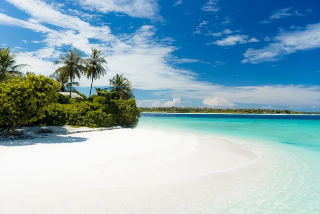 shore during daytime; white sand beach tropical island