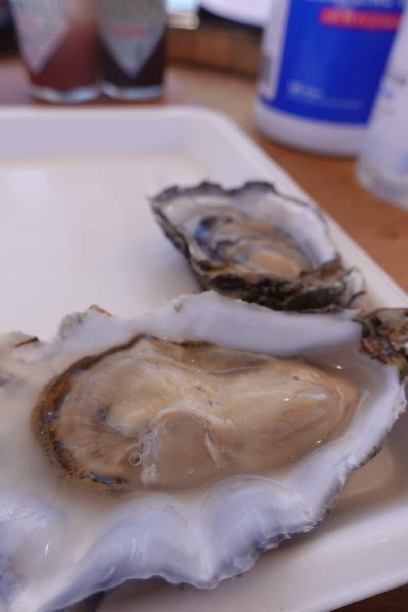 The Best Places to Celebrate National Oyster Day in San Diego