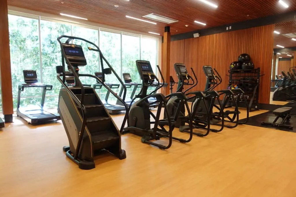 stair step machines and treadmills in gym that overlooks green trees