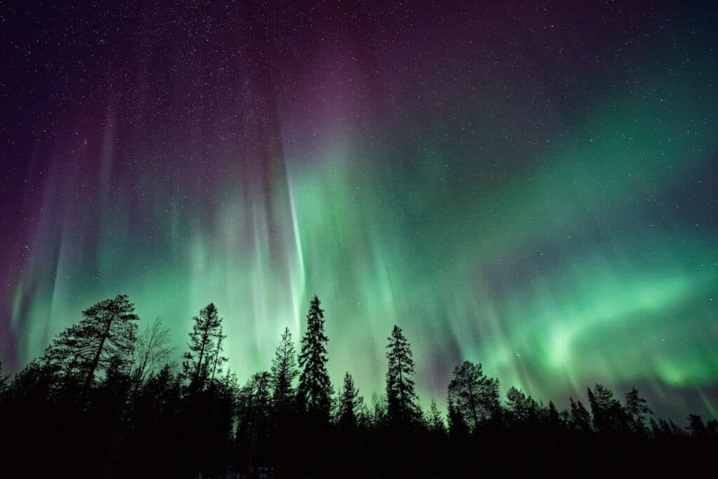 silhouette of trees near Aurora Borealis in Alaska
