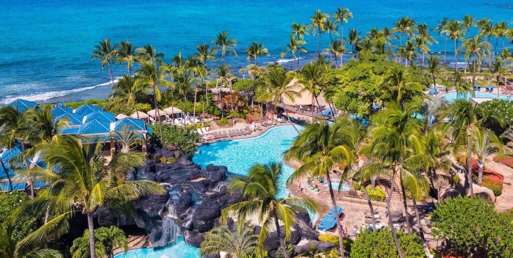 palm trees surrounding pool at oceanfront resort