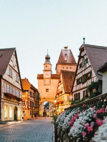 white and pink petaled flowers on metal fence near concrete houses and tower at daytime, germany