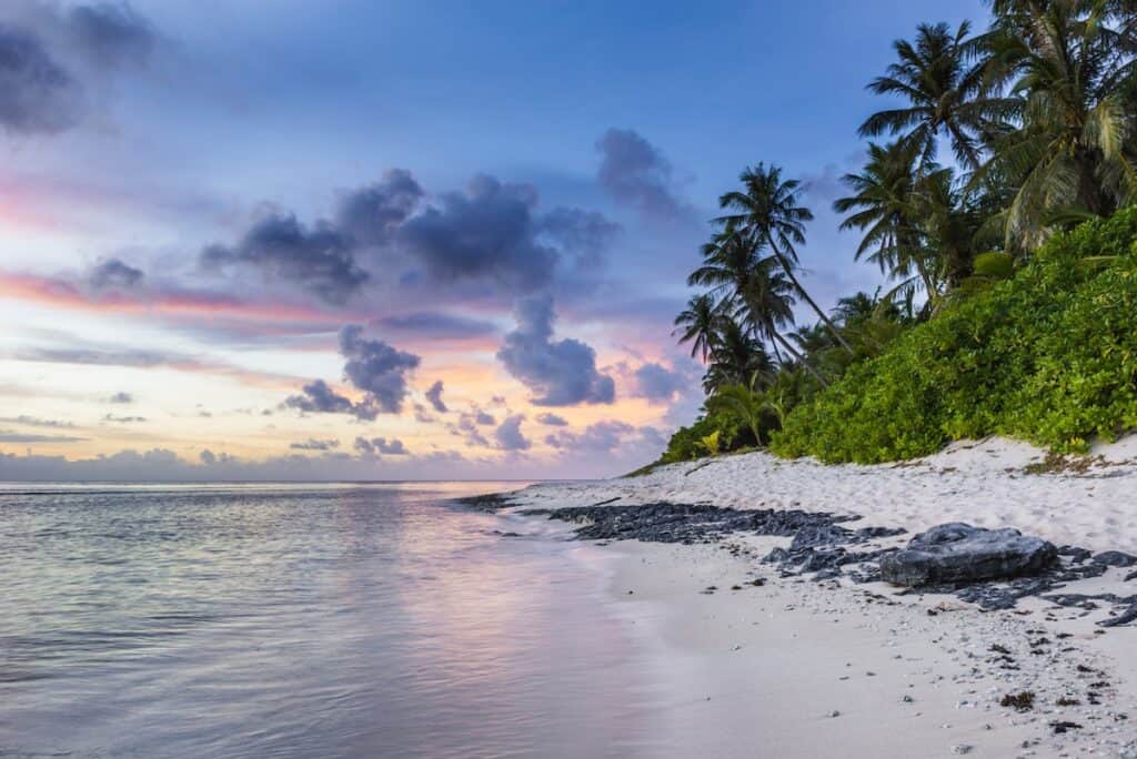 dark green palm trees on white sand beach with black rocks at sunset, seashore scenery photo