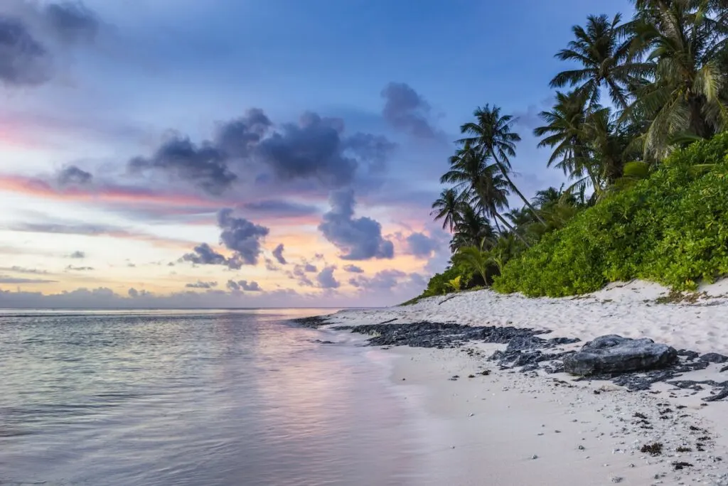 dark green palm trees on white sand beach with black rocks at sunset, seashore scenery photo