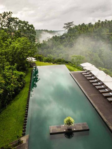 Olympic size pool on a hilltop surrounded by a forest of lush green grass and trees with dark brown wood lounge chairs and white umbrellas on side of pool