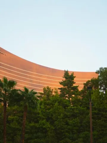 dark green palm trees and tall green trees in front of brown and gold skyscraper building during daytime; wynn las vegas