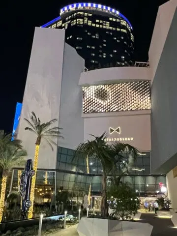 Lights wrapped around palm trees with car pointed towards ground in front of tall gray building at night