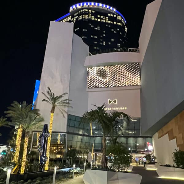Lights wrapped around palm trees with car pointed towards ground in front of tall gray building at night