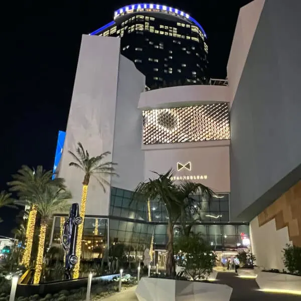 Lights wrapped around palm trees with car pointed towards ground in front of tall gray building at night