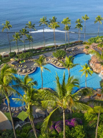 tall palm trees flanking large curvy pool at beachfront resort