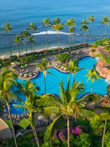 tall palm trees flanking large curvy pool at beachfront resort
