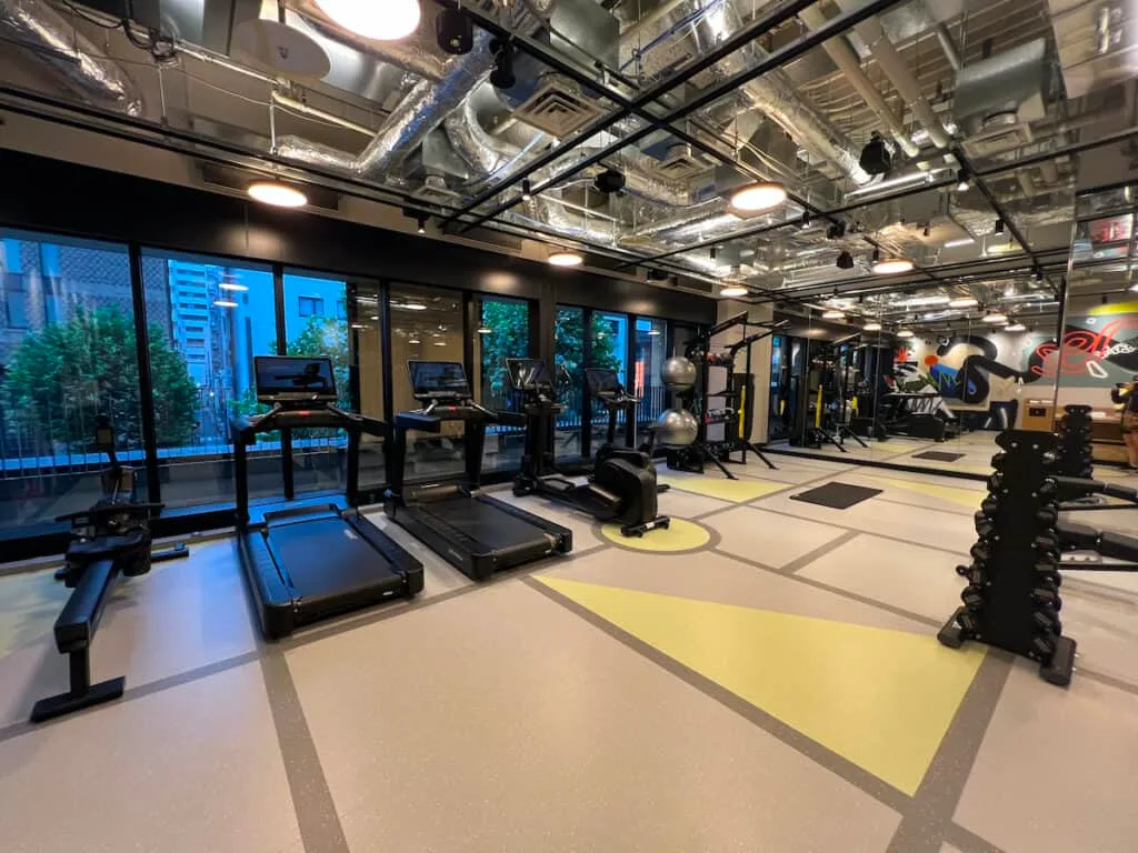 rowing machine, treadmilles, recumbent bikes, and free weights in hotel gym