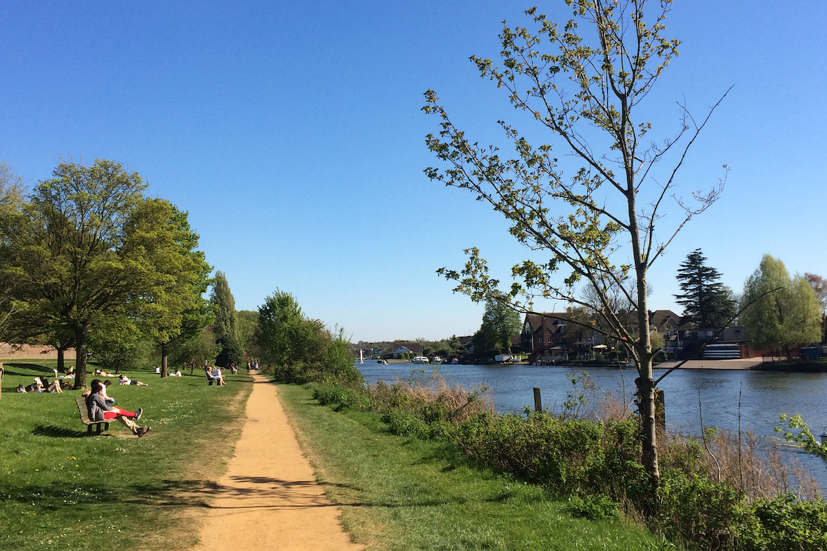 view of walking path for river thames walk from Kingston to Hampton Court Palace